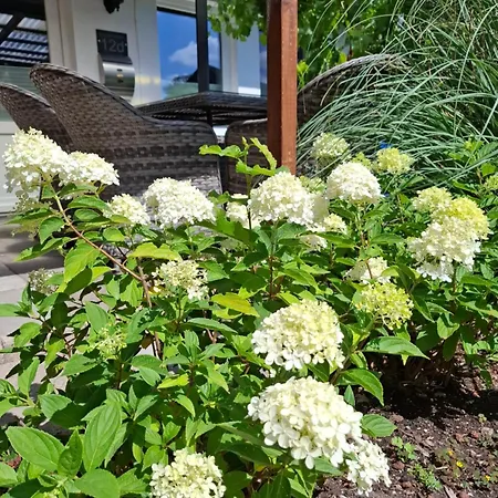 Seezeit, Bis Zu 6 Personen, 500 Meter Zum Wasser, Mit Garten Ferienhaus