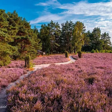 Seezeit, Bis Zu 6 Personen, 500 Meter Zum Wasser, Mit Garten